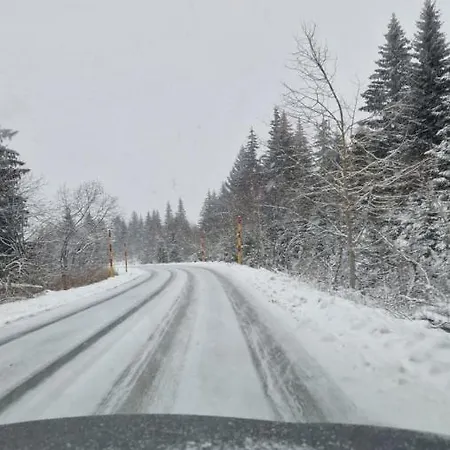 Apartman Xenia Kopaonik